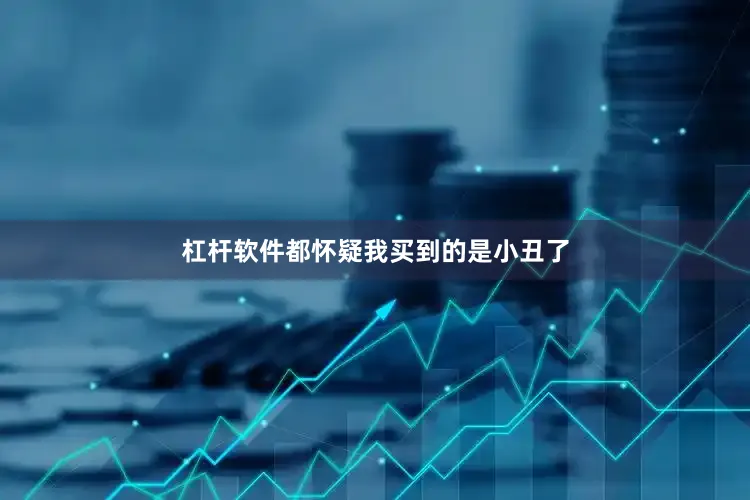 杠杆软件都怀疑我买到的是小丑了