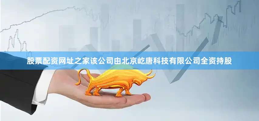 股票配资网址之家该公司由北京屹唐科技有限公司全资持股
